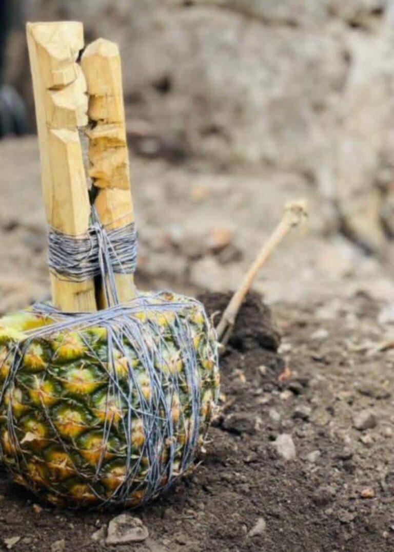 Screenshot 20260126 130947 Jpg